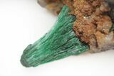 Silky, Fibrous Malachite Crystals on Matrix - Morocco #215028-1